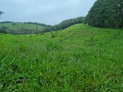 Terreno / Lote Comercial à venda, 20000m² no São Francisco Xavier, São José dos Campos - Foto 5