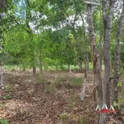 Fazenda / Sítio / Chácara com 1 Quarto à venda, 30000m² no Coxipó do Ouro, Cuiabá - Foto 10