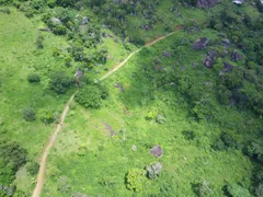 Fazenda / Sítio / Chácara à venda, 100000m² no Condusa, Vitória - Foto 30