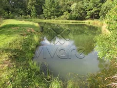 Casa Comercial à venda, 45824m² no Areia Branca dos Assis, Mandirituba - Foto 40