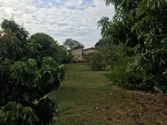 Fazenda / Sítio / Chácara com 3 Quartos à venda, 400m² no Area Rural de Limeira, Limeira - Foto 14