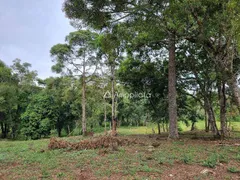 Fazenda / Sítio / Chácara à venda, 100m² no Rancho Alegre, Campina Grande do Sul - Foto 15