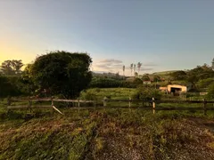 Fazenda / Sítio / Chácara com 3 Quartos à venda, 300m² no Centro, Crucilândia - Foto 5