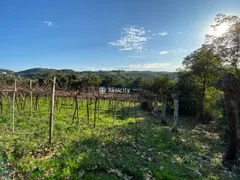 Terreno / Lote / Condomínio à venda, 140000m² no Vale dos Vinhedos, Bento Gonçalves - Foto 36