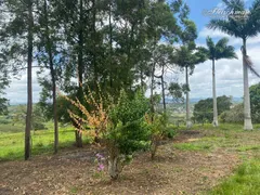 Fazenda / Sítio / Chácara com 5 Quartos à venda, 70000m² no São Vicente de Paulo, Vitória de Santo Antão - Foto 35