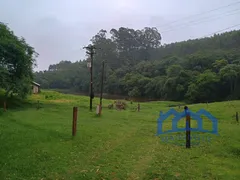Fazenda / Sítio / Chácara com 2 Quartos à venda, 1200000m² no Zona Rural, Piedade - Foto 9