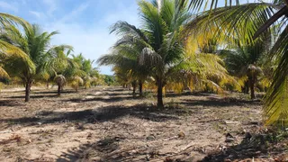 Fazenda / Sítio / Chácara com 4 Quartos à venda, 430000m² no Zona Rural, Conde - Foto 34