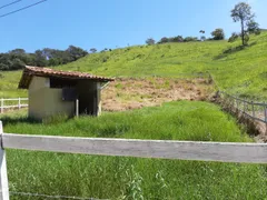 Fazenda / Sítio / Chácara com 4 Quartos à venda, 1670000m² no Zona Rural, Cachoeira da Prata - Foto 14