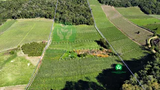 Fazenda / Sítio / Chácara à venda, 95000m² no Zona Rural, Monte Belo do Sul - Foto 2