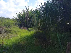 Terreno / Lote / Condomínio à venda, 1000m² no Chacaras Boa Vista, Santana de Parnaíba - Foto 3