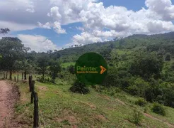 Fazenda / Sítio / Chácara com 2 Quartos à venda, 484000m² no Zona Rural, Heitoraí - Foto 7