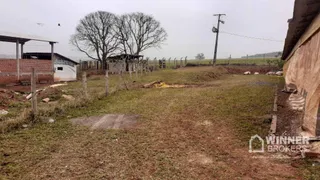 Fazenda / Sítio / Chácara à venda, 60500m² no , Mandaguaçu - Foto 6