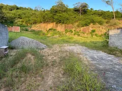 Terreno / Lote Comercial à venda, 36000m² no Guaratiba, Rio de Janeiro - Foto 10