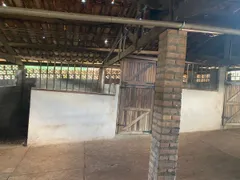 Fazenda / Sítio / Chácara com 3 Quartos à venda, 6m² no Centro, São Simão - Foto 7