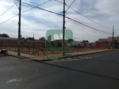 Terreno / Lote / Condomínio com 1 Quarto à venda, 720m² no Jardim Ipanema, Uberlândia - Foto 4