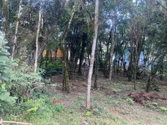 Terreno / Lote / Condomínio à venda, 802m² no Floresta, Gramado - Foto 5
