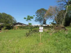 Terreno / Lote Comercial à venda, 806m² no Vale Verde, Nova Petrópolis - Foto 2