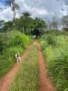 Casa com 3 Quartos à venda, 20000m² no Area Rural do Paranoa, Brasília - Foto 29