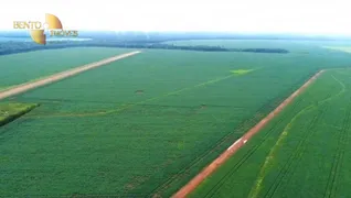 Fazenda / Sítio / Chácara à venda, 33500000m² no Zona Rural, Sorriso - Foto 1