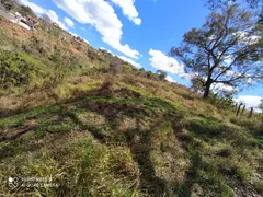 Terreno / Lote / Condomínio com 1 Quarto à venda, 5000m² no Jardim das Mangabeiras, Mateus Leme - Foto 48