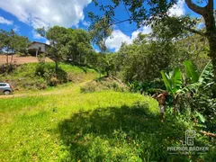 Terreno / Lote / Condomínio à venda, 5000m² no Prata dos Aredes, Teresópolis - Foto 6