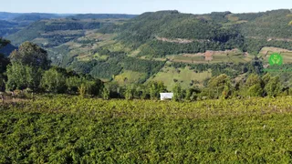 Fazenda / Sítio / Chácara à venda, 120000m² no Zona Rural, Monte Belo do Sul - Foto 17