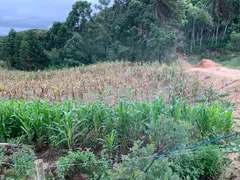 Fazenda / Sítio / Chácara à venda, 24000m² no Zona Rural, Mandirituba - Foto 31