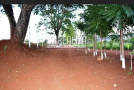 Fazenda / Sítio / Chácara com 3 Quartos à venda, 35000m² no Centro, Igarapava - Foto 28