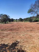 Fazenda / Sítio / Chácara à venda, 135176m² no Chacaras Bom Retiro, Goiânia - Foto 5