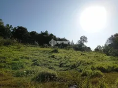 Fazenda / Sítio / Chácara com 2 Quartos à venda, 80m² no Centro, Avaí - Foto 3