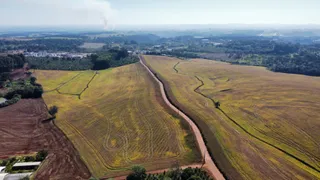 Fazenda / Sítio / Chácara com 1 Quarto à venda, 5000m² no Centro, Chapecó - Foto 2