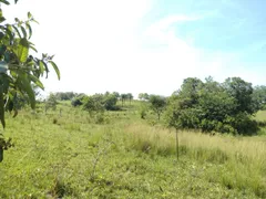 Fazenda / Sítio / Chácara à venda, 30000m² no Campo Alegre, Nova Iguaçu - Foto 10