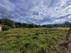 Terreno / Lote / Condomínio para alugar, 56319m² no NOVA SUICA, Piracicaba - Foto 6