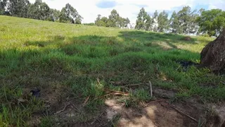 Fazenda / Sítio / Chácara com 2 Quartos à venda, 145200m² no Zona Rural, Monte Santo de Minas - Foto 1