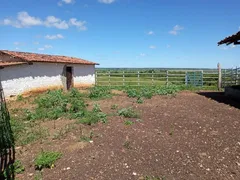 Fazenda / Sítio / Chácara com 3 Quartos à venda, 6600m² no Zona Rural, São José de Mipibu - Foto 17