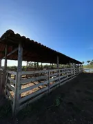 Fazenda / Sítio / Chácara à venda no , Itapecuru Mirim - Foto 8