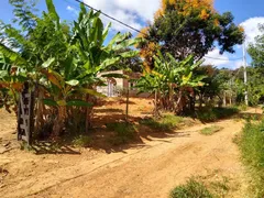 Fazenda / Sítio / Chácara com 3 Quartos à venda, 1000m² no Esmeraldas, Esmeraldas - Foto 12