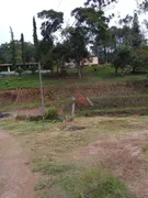 Fazenda / Sítio / Chácara com 3 Quartos à venda, 24200m² no Chacara Boa Vista Palmeiras, Suzano - Foto 39
