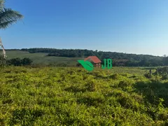 Fazenda / Sítio / Chácara com 3 Quartos à venda, 100m² no Centro, Pedras de Fogo - Foto 11