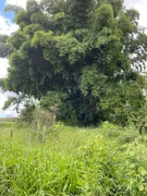 Casa com 3 Quartos à venda, 20000m² no Area Rural do Paranoa, Brasília - Foto 25