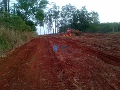 Terreno / Lote / Condomínio à venda, 24200m² no Parque Universidade, Londrina - Foto 4