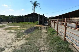 Fazenda / Sítio / Chácara com 5 Quartos à venda, 1258400m² no , Porto Feliz - Foto 14