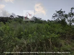 Fazenda / Sítio / Chácara com 3 Quartos à venda, 90m² no Serra Do Mato Grosso, Saquarema - Foto 37