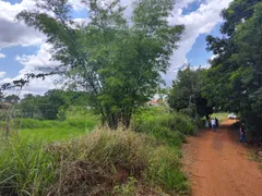 Terreno / Lote / Condomínio à venda, 5000m² no Chácaras Buritis, Goiânia - Foto 6