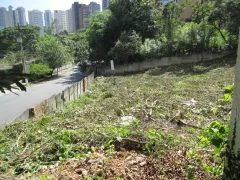 Terreno / Lote / Condomínio à venda, 2489m² no Vila Suzana, São Paulo - Foto 1