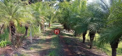 Fazenda / Sítio / Chácara com 4 Quartos à venda, 600m² no Limoeiro, Londrina - Foto 4