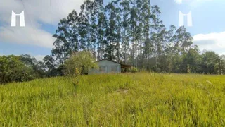 Fazenda / Sítio / Chácara com 1 Quarto à venda, 60m² no Bateias, Campo Largo - Foto 4