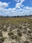 Fazenda / Sítio / Chácara com 3 Quartos à venda, 5000m² no Zona Rural, Macaíba - Foto 4