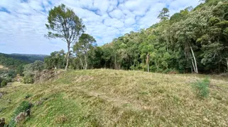 Fazenda / Sítio / Chácara à venda, 200000m² no Barra Grande, Leoberto Leal - Foto 19