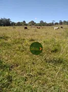 Fazenda / Sítio / Chácara à venda, 48400m² no Zona Rural, Heitoraí - Foto 7